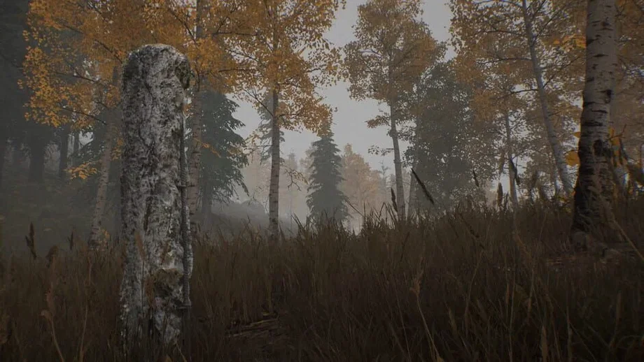 30km survival zone: Chernobyl (PC) gallery image 4