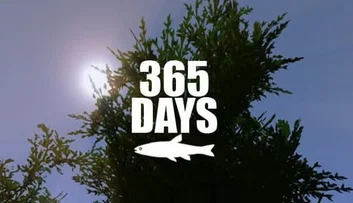 365 Days (PC)