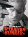 A Stroke of Fate: Operation Bunker (PC) thumb 1