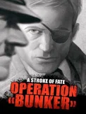 A Stroke of Fate: Operation Bunker (PC)