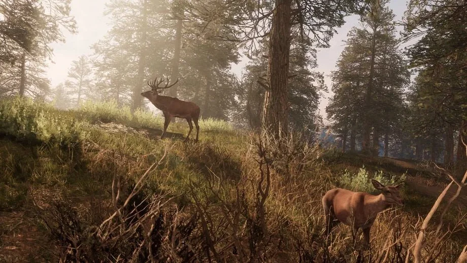 A Twisted Path To Renown (PC) gallery image 6