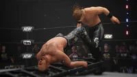 All Elite Wrestling: Fight Forever (PS4) thumb 5