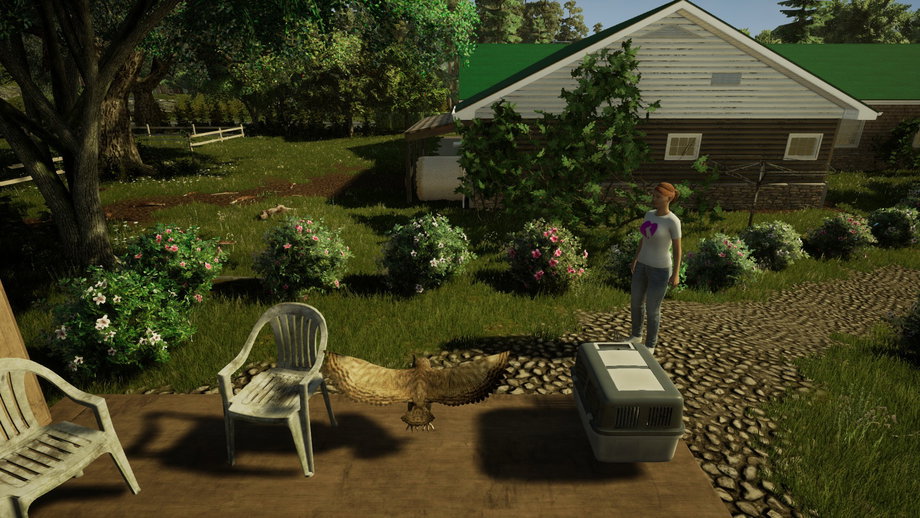 Animal Doctor (Switch) gallery image 5