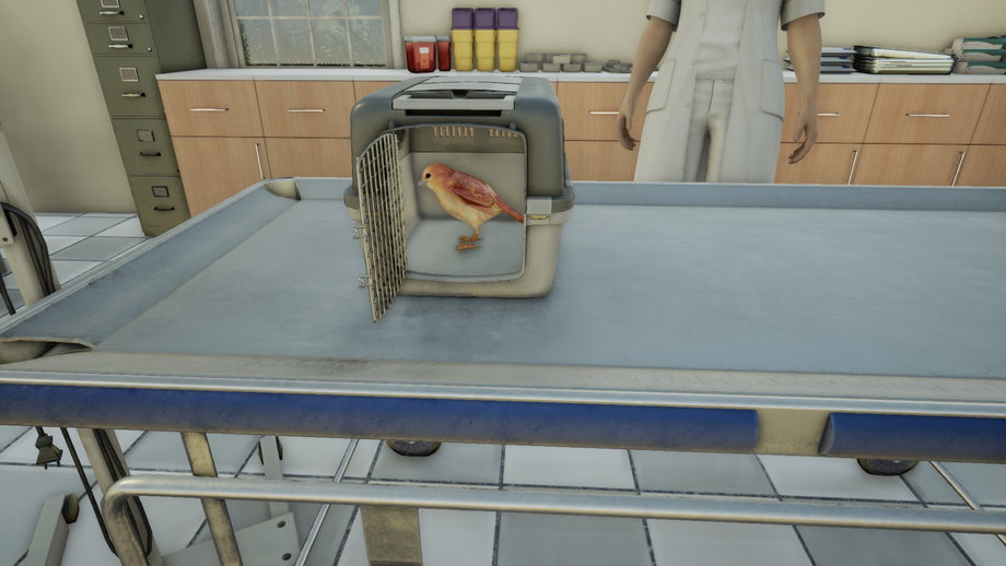 Animal Doctor (Switch) gallery image 2