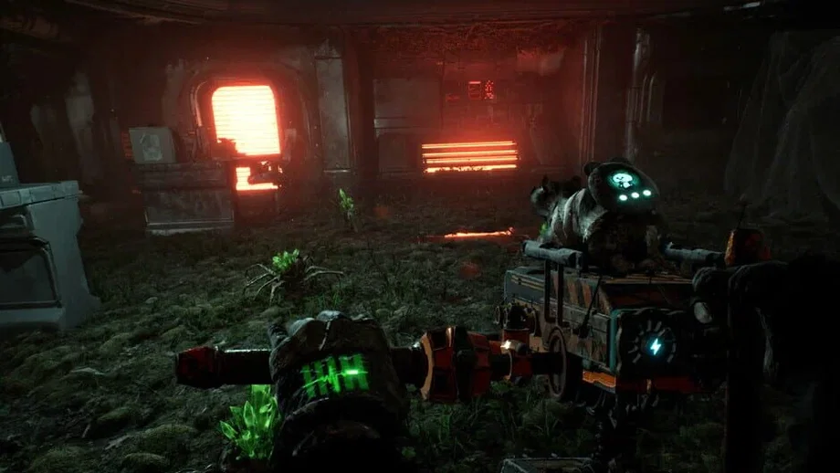 Animal Use Protocol (PS5) gallery image 2