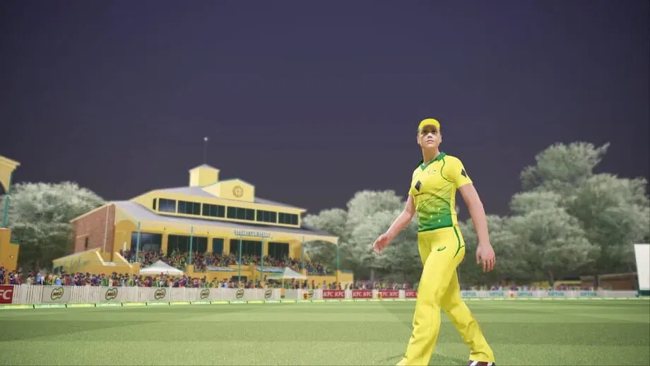 Ashes Cricket (PS4) gallery image 3