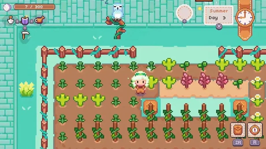 Ashwood Valley (Switch) gallery image 5