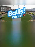 Balls! Virtual Reality Cricket (DLC) (PC)