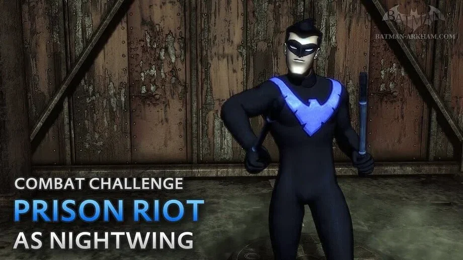 Batman: Arkham City - Nightwing Bundle (DLC) (PC) gallery image 3