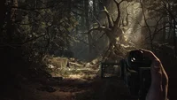 Blair Witch (PC) thumb 6
