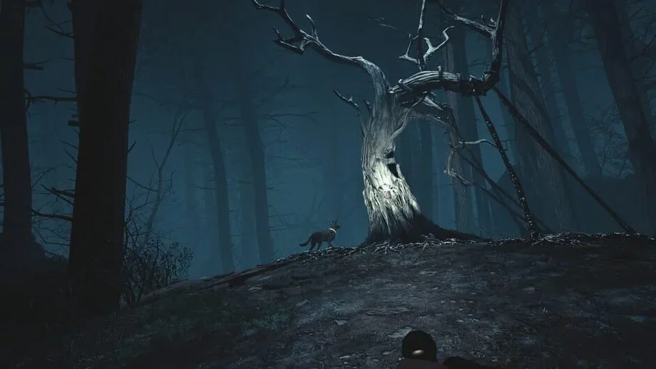 Blair Witch VR (PC) gallery image 8