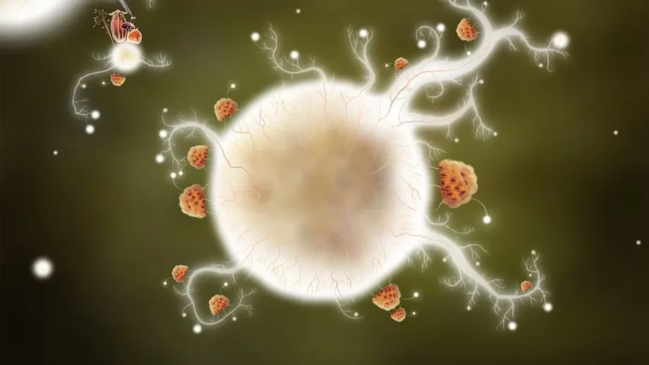 Botanicula (PC) gallery image 3