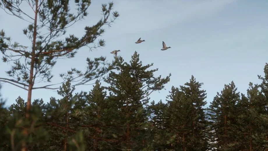 Bult: Hunting Simulator (PC) gallery image 4