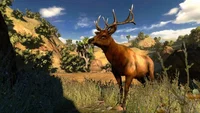 Cabela's Hunting Expeditions (PC) thumb 2