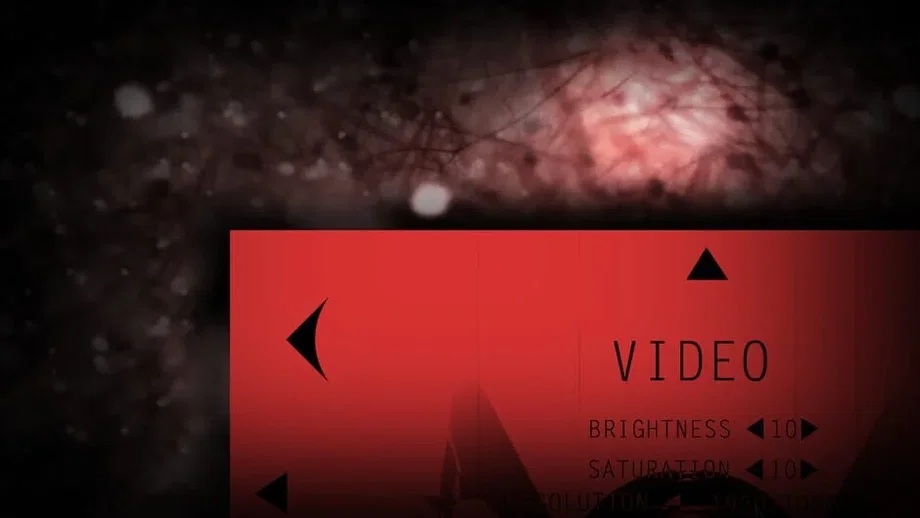 Calendula (PC) gallery image 3