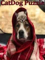 CatDog Puzzle (PC) thumb 1
