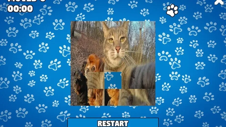 CatDog Puzzle (PC) gallery image 2