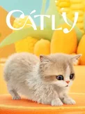 Catly (PC)