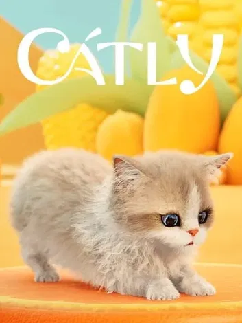 Catly (PC)