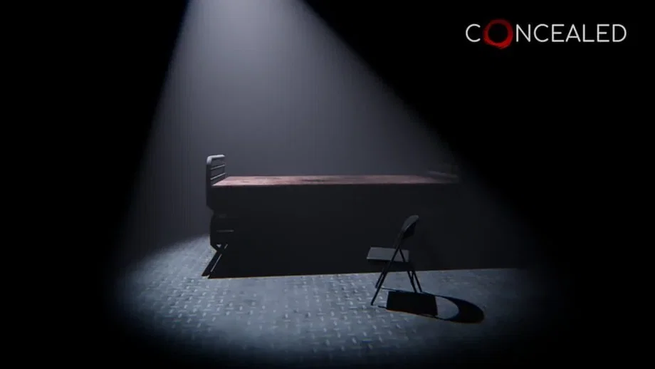 Concealed (PC) gallery image 3