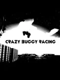 Crazy Buggy Racing (PC)