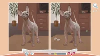Cute Cats - Digital Artbook + Bonus Videos (DLC) (PC) thumb 4