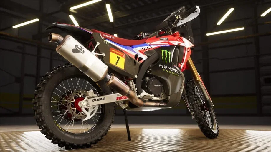 Dakar Desert Rally Standard Edition (PC) gallery image 8