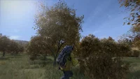 DayZ (PS4) thumb 2