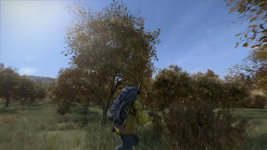 DayZ (Xbox One) gallery image 6