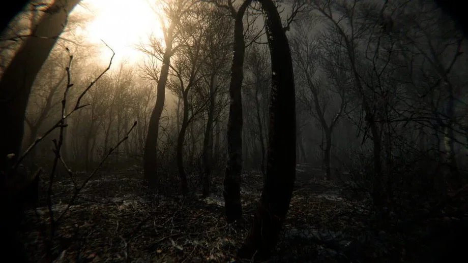 Digested (PC) gallery image 6