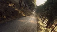 Dirt Rally 2.0: Colin McRae - Flat Out Pack (DLC) (PC) thumb 2