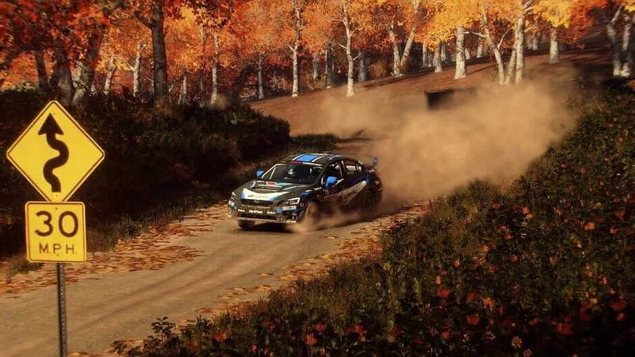 Dirt Rally 2.0: Game of the Year Edition (PC) gallery image 3