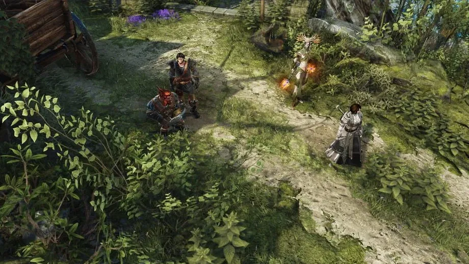 Divinity: Original Sin II (PC) gallery image 3