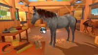 Equestrian Training (PS4) thumb 4