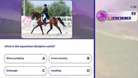 Equestrian Training (PS4) thumb 5