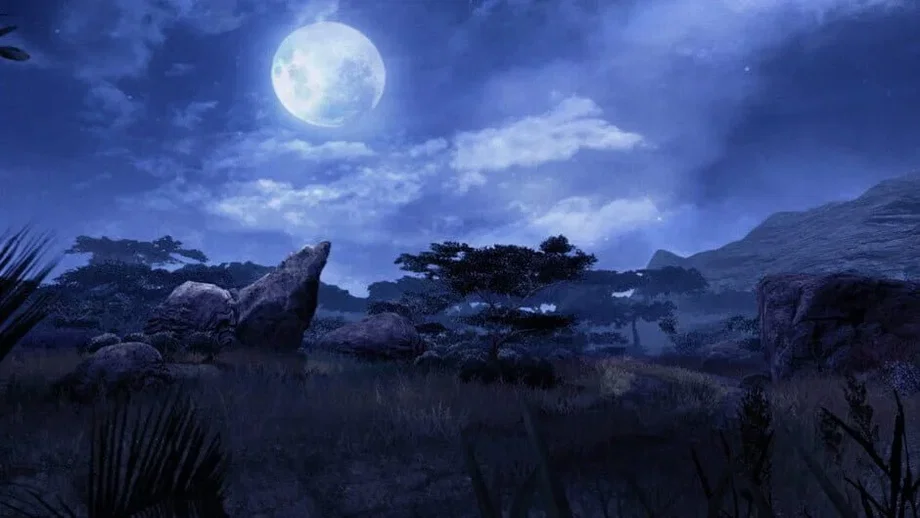 Far Cry 2: Fortune's Edition (PC) gallery image 3