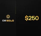 CSGOLD 250 USD Gift Card (Global) thumb 2