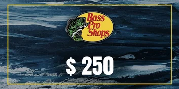 Bass Pro Shops 250 USD Gift Card (United States)