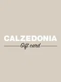 Calzedonia 100 EUR Gift Card (Spain) thumb 2