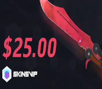 SkinsVIP 25 USD Gift Card (Global)