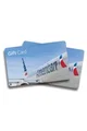 American Airlines 100 USD Gift Card (United States) thumb 2
