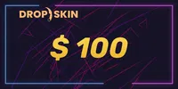 Drop.skin 100 USD Gift Card (Global) thumb 2
