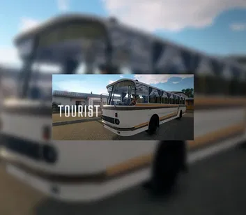Bus Driver Simulator 2019: Tourist (DLC) (PC)