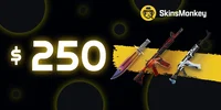 SkinsMonkey 250 USD Gift Card (Global) thumb 2