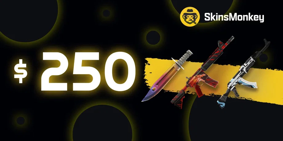 SkinsMonkey 250 USD Gift Card (Global) gallery image 2