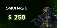 Swapgg 250 USD Gift Card (Global) thumb 2