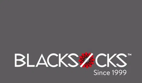 Blacksocks 10 CHF Gift Card (Switzerland) gallery image 2