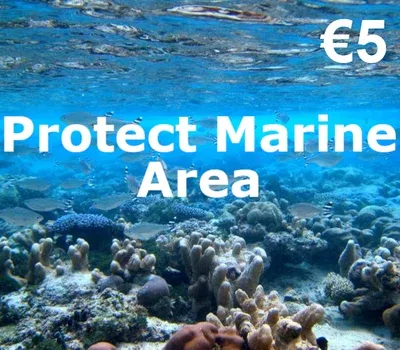 Dots.eco 5 EUR Gift Card (Netherlands) gallery image 2