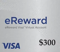 Visa 300 USD Payment Card (United States)
