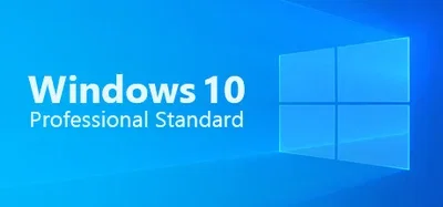 Windows 10 10 Professional Standard gallery image 1